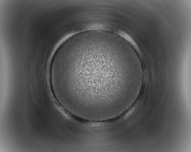 X0000085021043200703121538