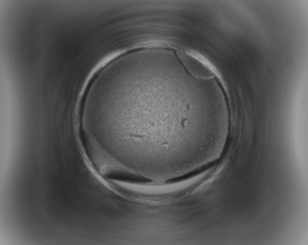 X0000085021045200703121538