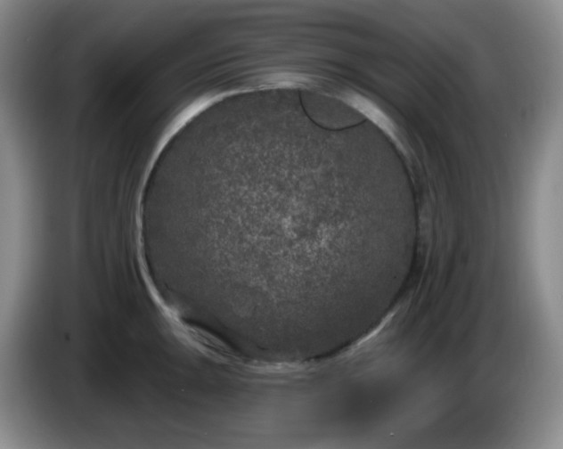 X0000085021047200703121538