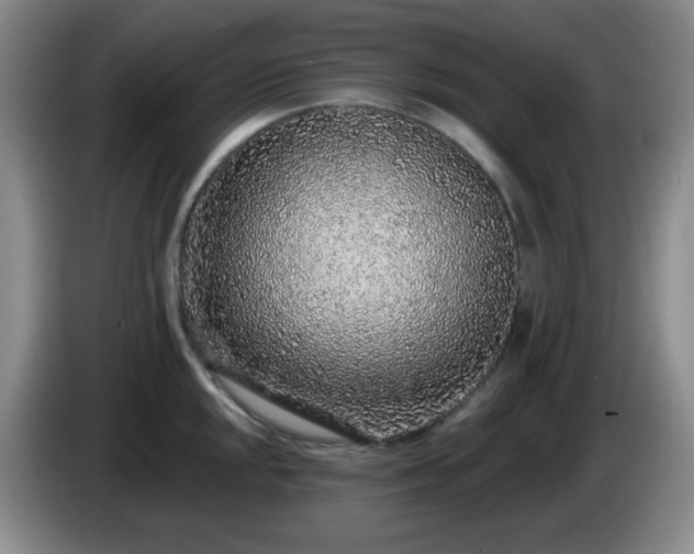 X0000085021048200703121538