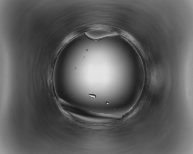 X0000085021049200703121538