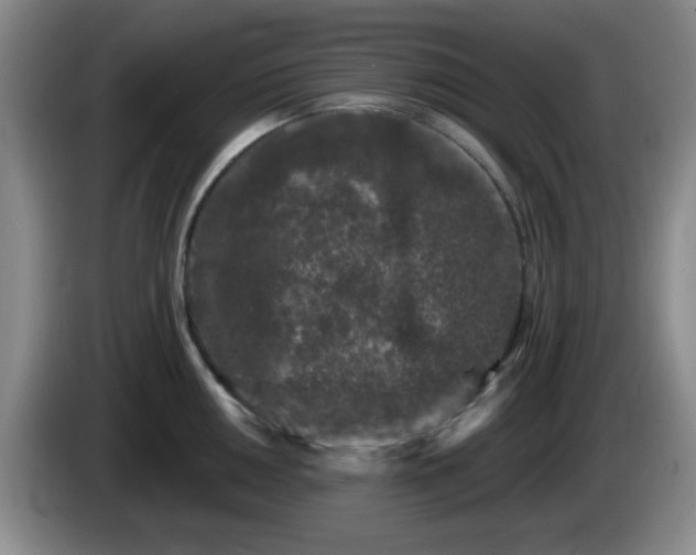 X0000085021050200703121538