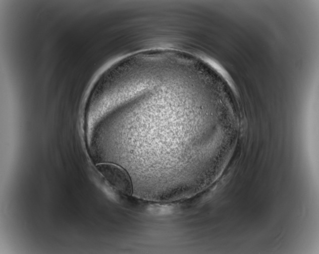 X0000085021051200703121538