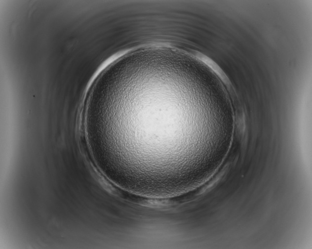 X0000085021052200703121538