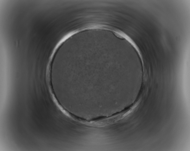 X0000085021053200703121538