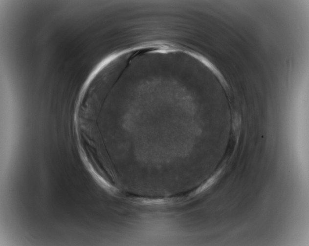 X0000085021054200703121538