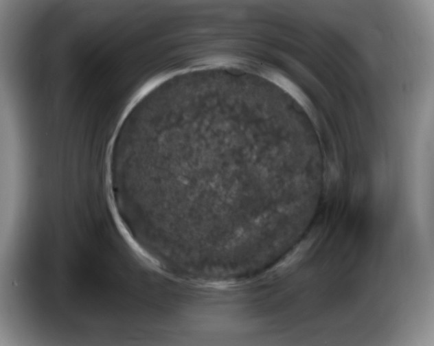 X0000085021055200703121538