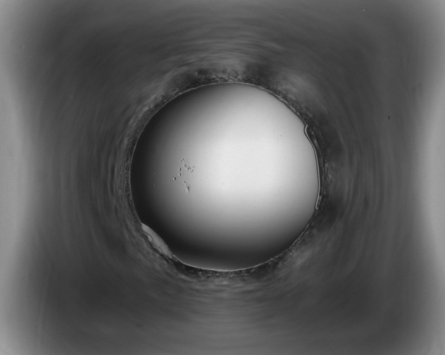 X0000085021057200703121538
