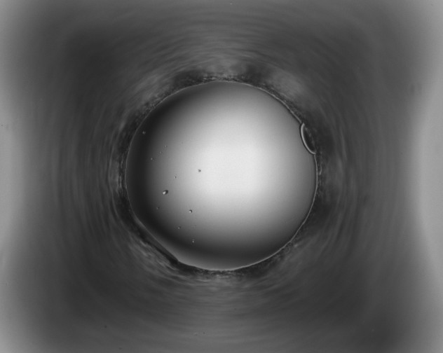 X0000085021058200703121538