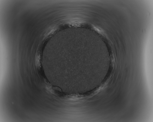 X0000085021060200703121538