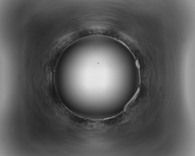 X0000085021061200703121538
