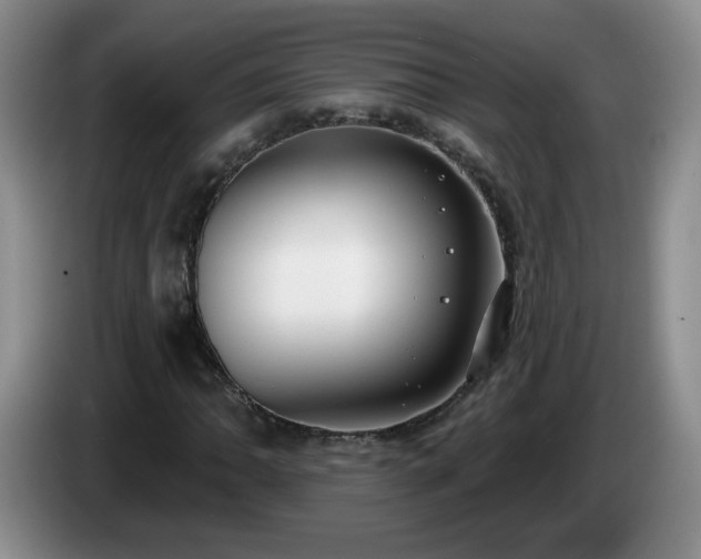 X0000085021062200703121538