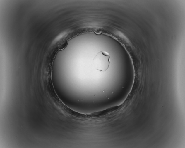 X0000085021064200703121538
