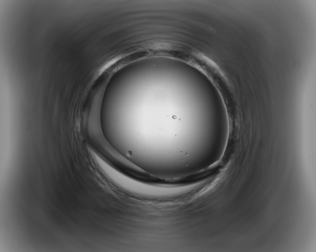 X0000085021065200703121538