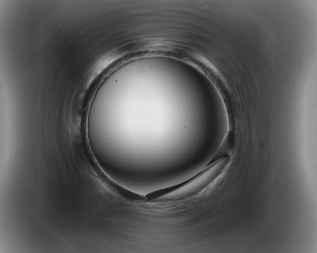 X0000085021066200703121538