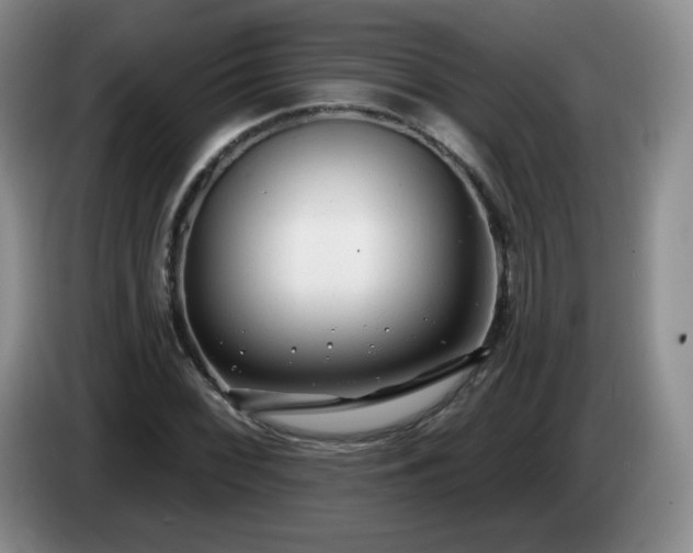 X0000085021068200703121538