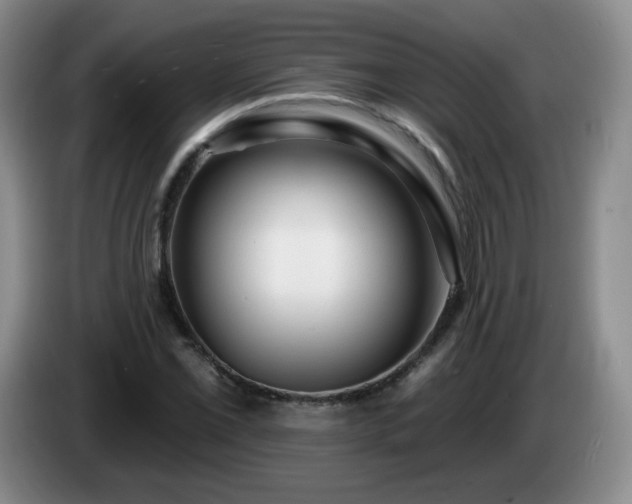 X0000085021069200703121538