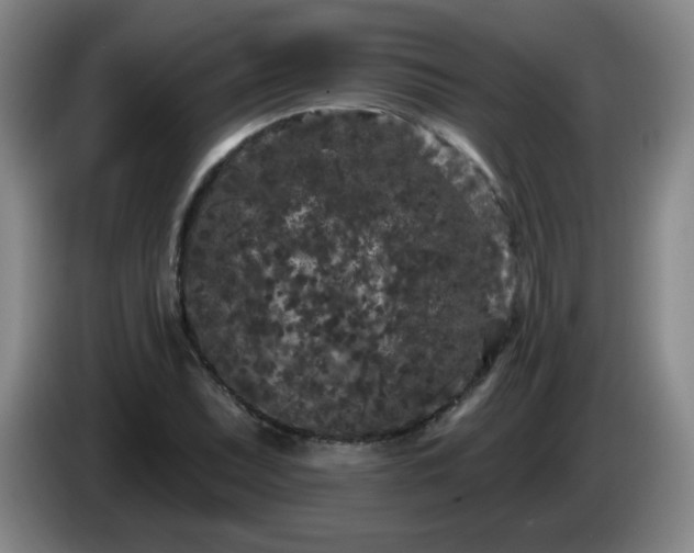 X0000085021071200703121538