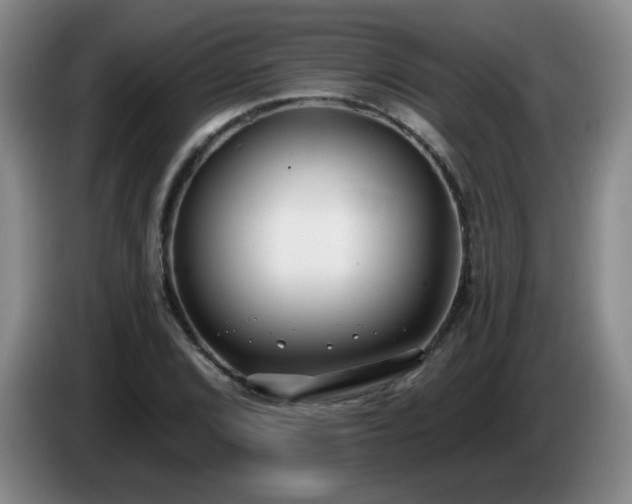 X0000085021072200703121538