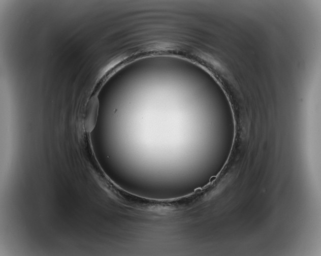 X0000085021073200703121537