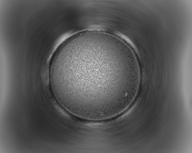 X0000085021075200703121537