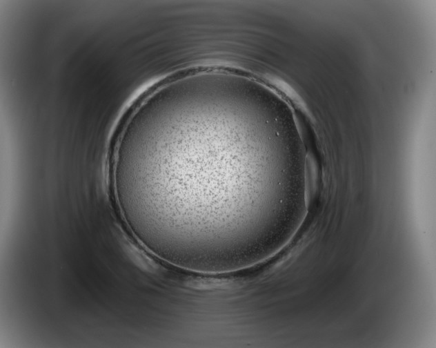 X0000085021076200703121537