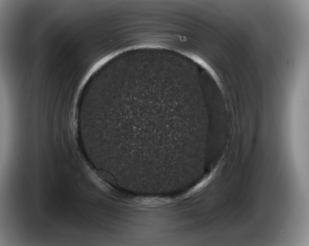 X0000085021077200703121537