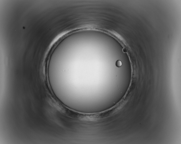X0000085021078200703121537
