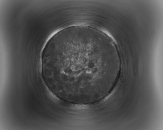 X0000085021079200703121537