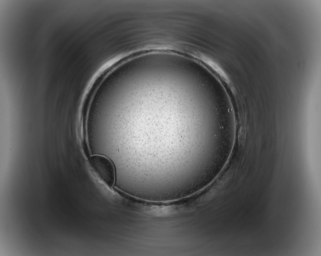 X0000085021080200703121537