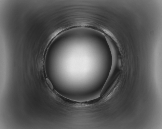 X0000085021081200703121537