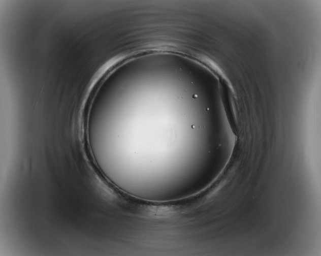 X0000085021082200703121537