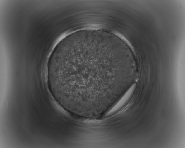 X0000085021083200703121537