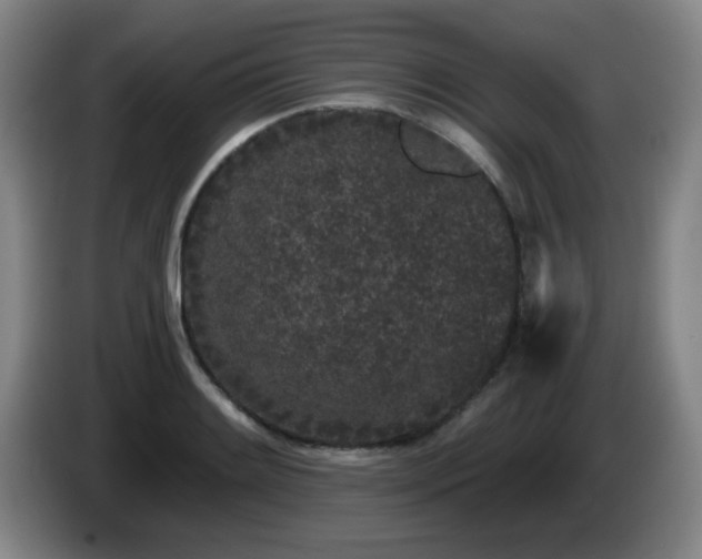 X0000085021084200703121537