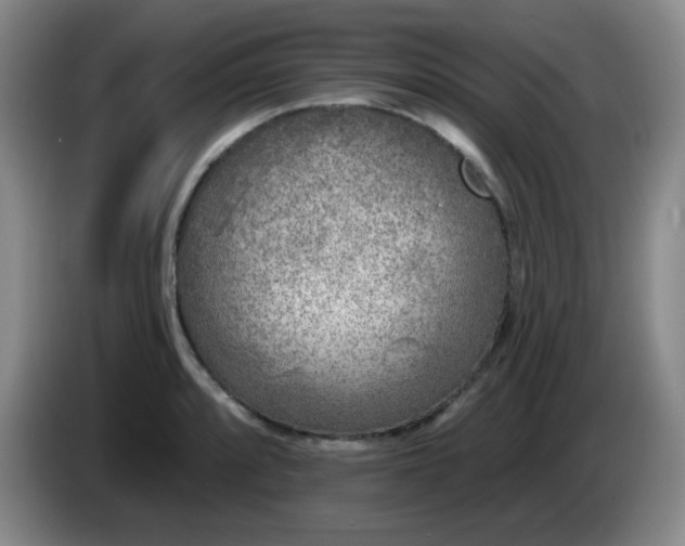 X0000085021088200703121537