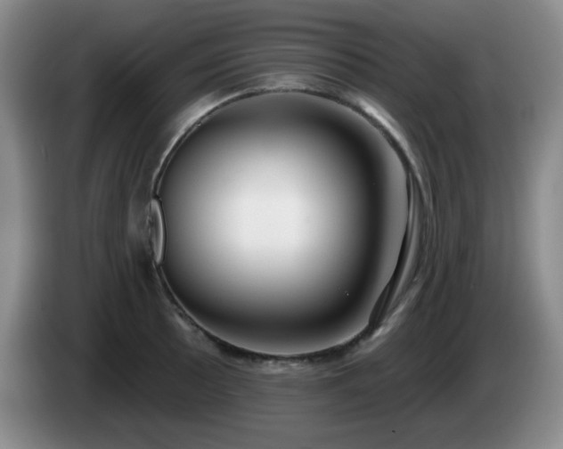 X0000085021089200703121537