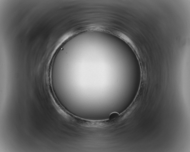 X0000085021090200703121537