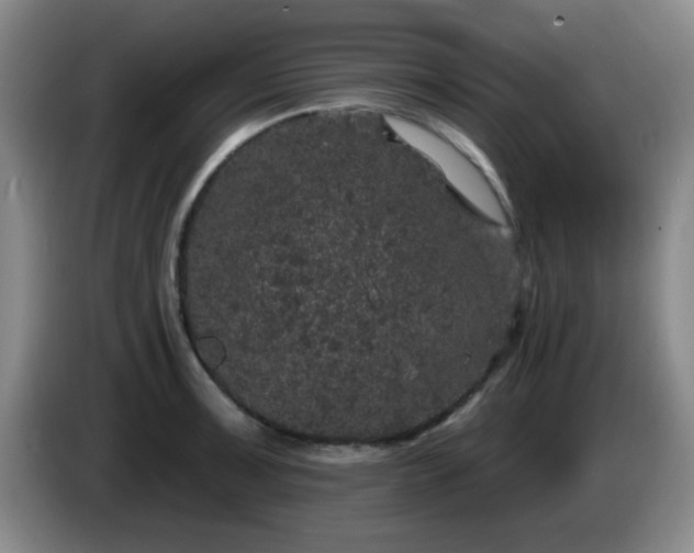 X0000085021091200703121537