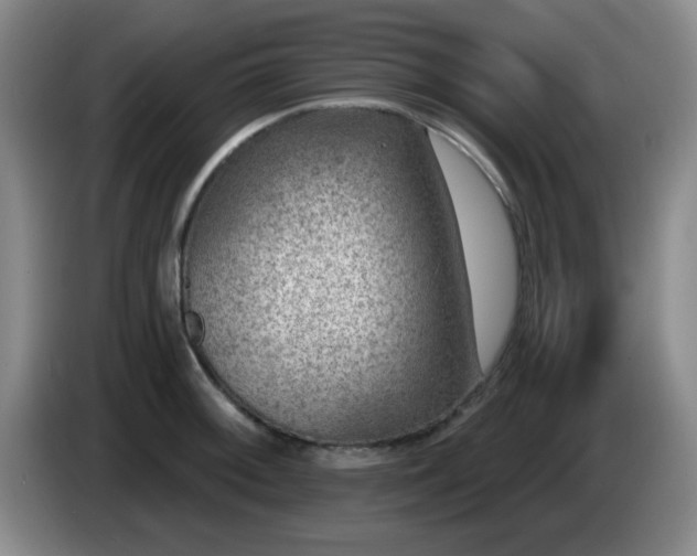 X0000085021092200703121537