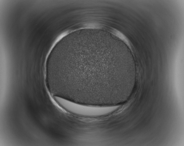 X0000085021095200703121537