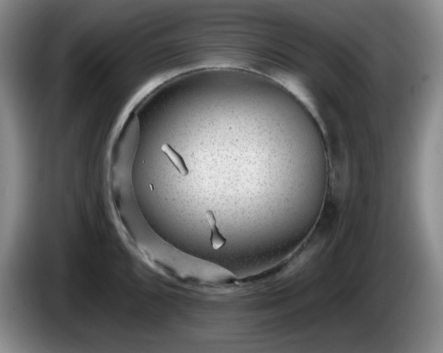 X0000085021096200703121537