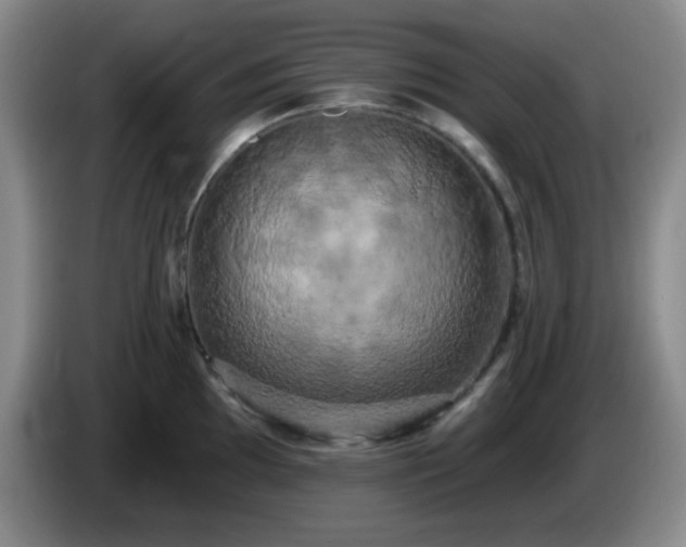X0000085021097200703121537