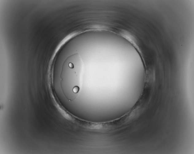 X0000085021098200703121537