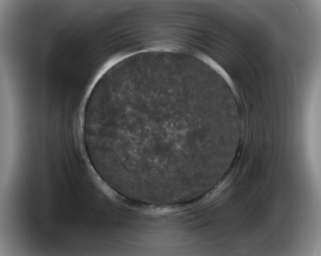 X0000085021099200703121537