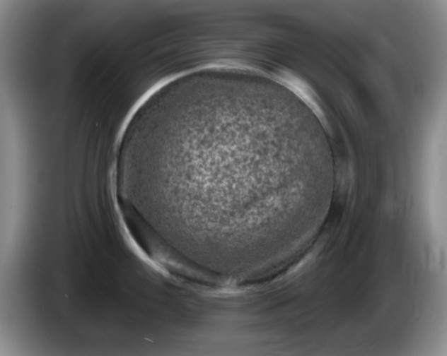 X0000085021100200703121537