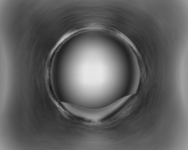 X0000085021101200703121537
