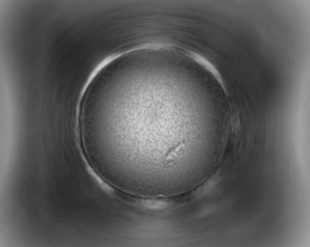 X0000085021103200703121537