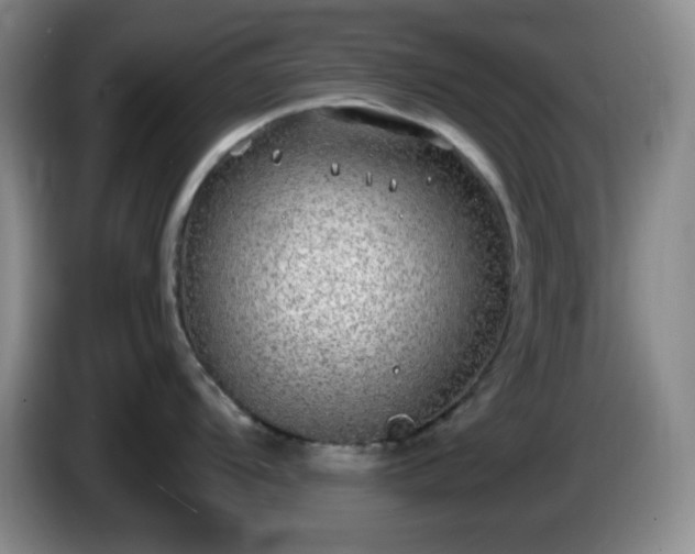 X0000085021104200703121537