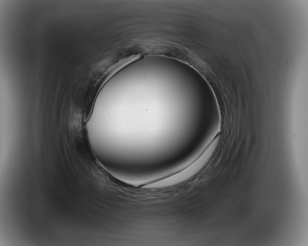 X0000085021108200703121536