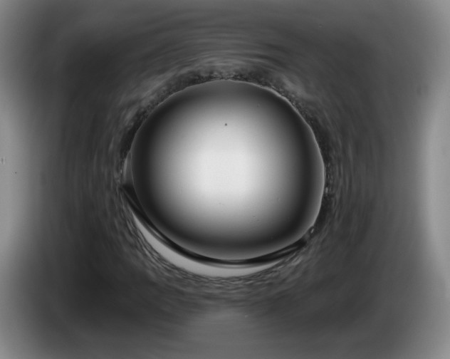 X0000085021109200703121536